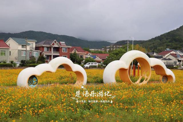 浙江宁波这片花海又火了，烟雨中更有诗画意境，周边民宿也很优美