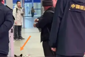 北京西站老人带狗乘车后续：知情乘客透露更多，被网友给暖哭了图片