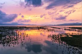 总投资1016亿，惠州市2025年重点民生工程项目名单图片