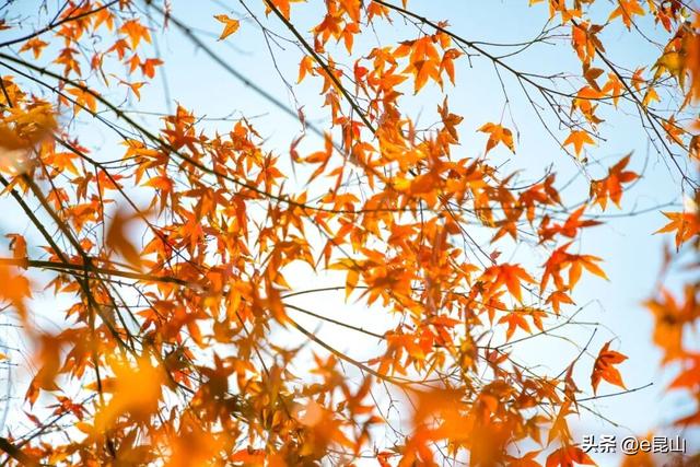 久等了！红透啦！