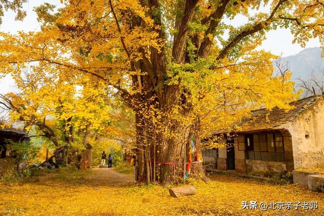 门头沟秋日自驾 五条绝美路线