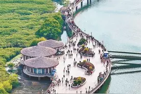 厦门今日天气转好适合出游，早晚寒意较重！图片