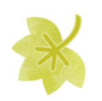 彭州这条“世界级”徒步线，走起！