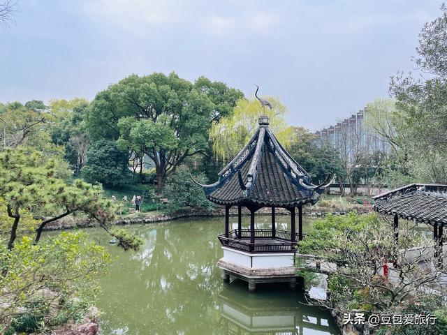 上海松江漫游指南邂逅人文自然与童趣之旅