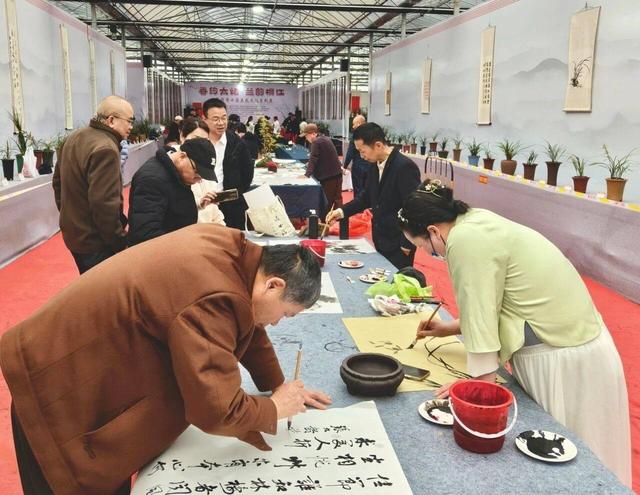 相约太姥 兰韵桐江｜福鼎市第十届兰花文化展开幕，共赴春日雅集