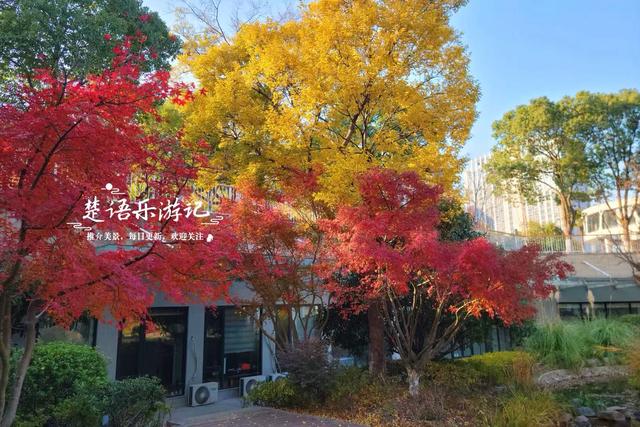 浙江宁波的绝美风景，犹如多彩的田园风情画，拍照与休闲都是一绝