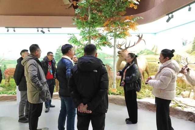 吉畜吉品 “畜”势待发 | 网络名人打卡中国双阳梅花鹿博物馆