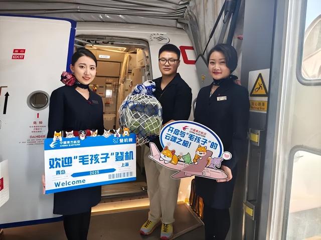 带宠出游成千亿新风口！年订单破 10 万	，宠物附加费千元仍一房难求
