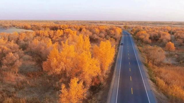 这个秋天去泽普扫黄，余额只剩15天！