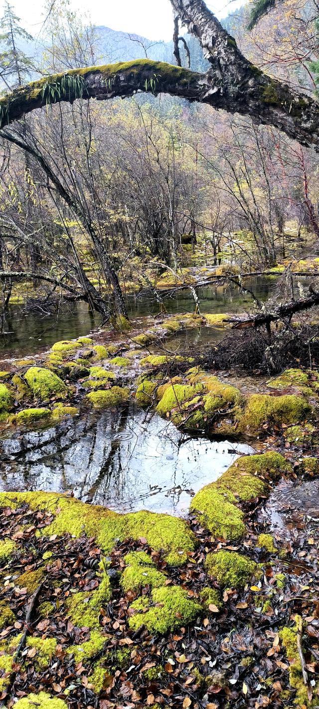 神仙池（一）竖幅