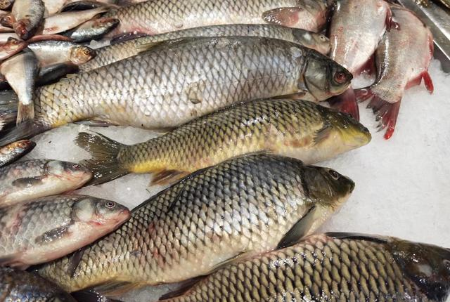 冬天，这4种鱼要少买，都自带“重金属”！鱼贩：我自己都不敢吃