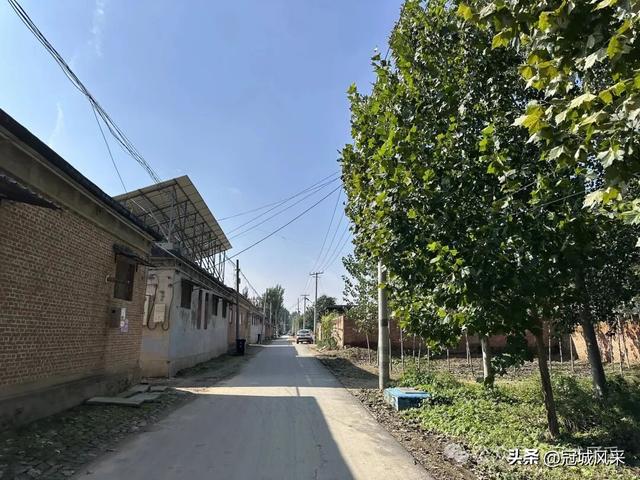 冠县乡韵·兰沃乡大柳邵村