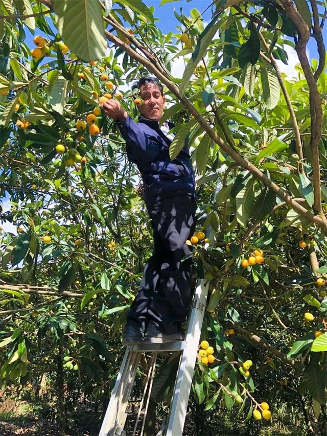 墨脱：十年蝶变，“秘境莲花”绽放旅游富民新画卷
