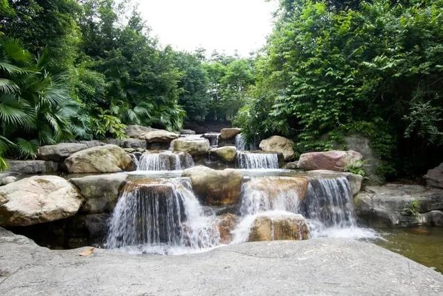 周末2大2小叹“森林秘境”度假地，吃住玩全了，汤泉萌宠…平靓正