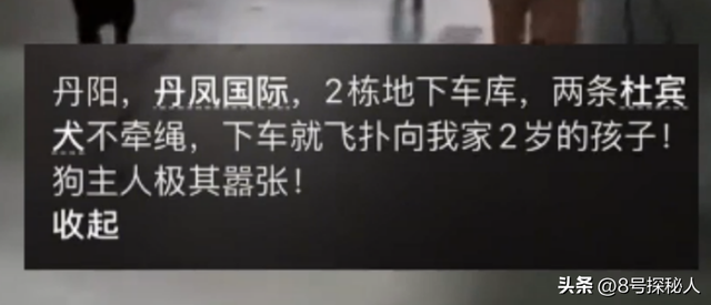 江苏杜宾犬飞扑幼童：事情已了结，当地人透露更多，女子身份可疑