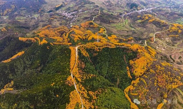 镜瞰秦州·悦秋