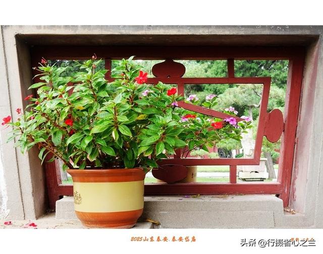 山东行游影记（321）—泰安岱庙（十七）