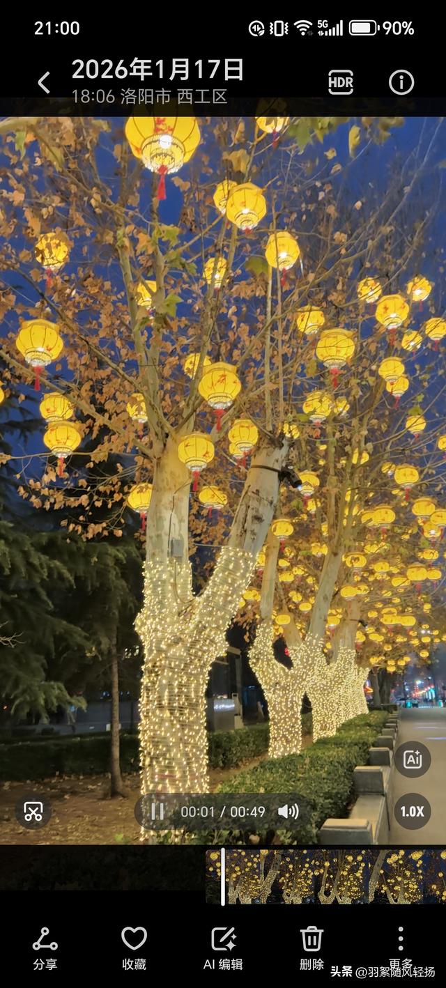 洛阳的美越来越精致