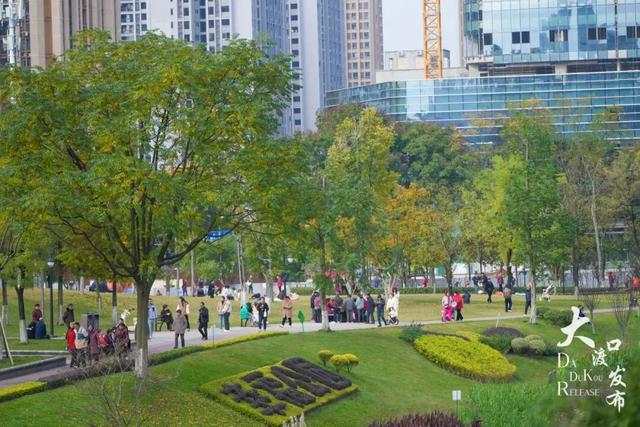 大渡口这里开启“美颜模式”,打卡要趁早~