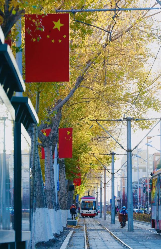 立法护落叶 踏叶赏春城