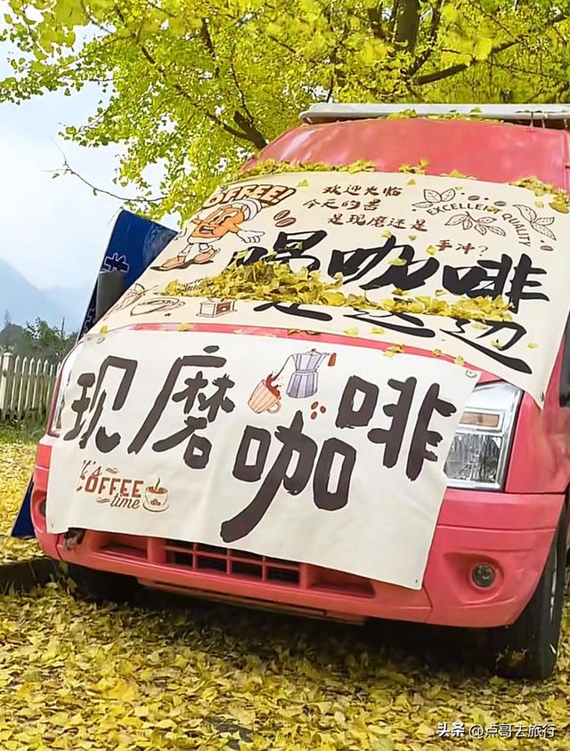 成都彭州被低估的场镇，3公里银杏长廊超级壮观，公交车直达！