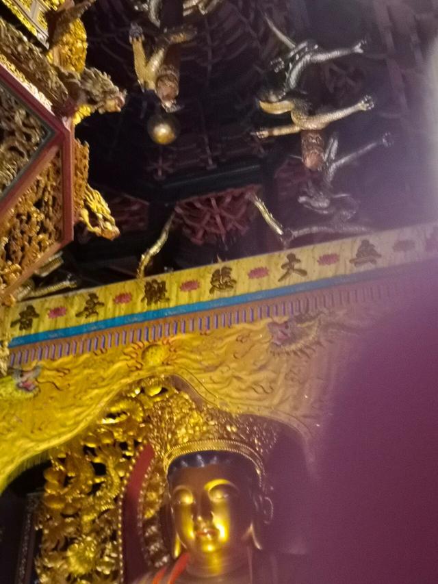 闲游普陀山