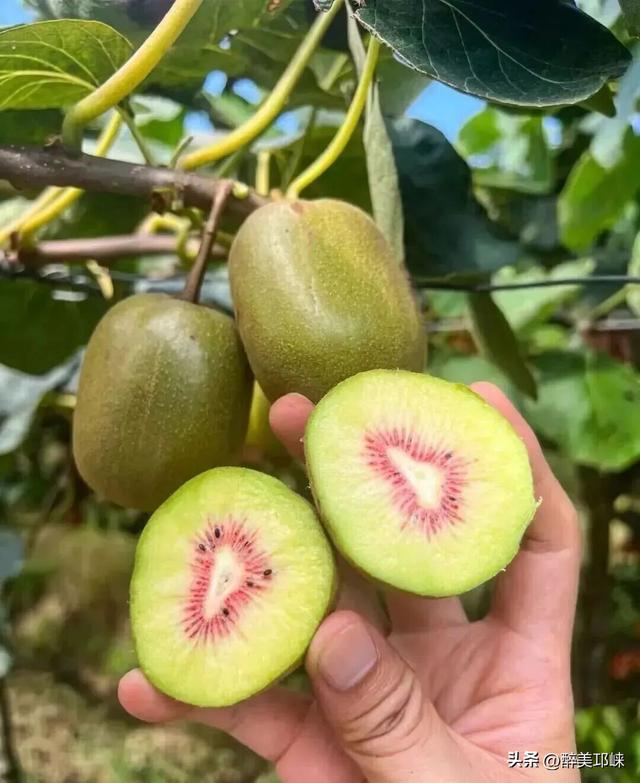 看完《山水间的家》，一人说一个爱上夹关镇的理由！