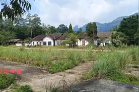 荒草掩埋下的铁路：曾经的普洛管理段，曾经的金红、洛茂铁路图片