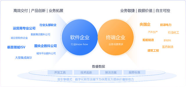 AI驱动全场景开发，数睿数据开启数智平权新时代