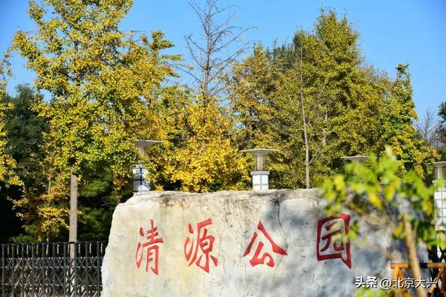 限定上新！大兴的秋景一眼心动🥰🥰