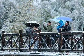 暴雪！大风！霜冻！速看全疆天气情况→图片