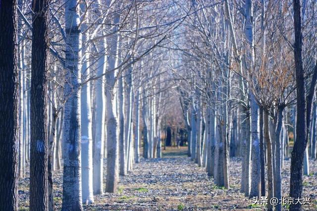 秋色落幕ing～来北臧辞秋迎冬