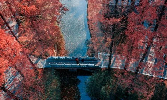 放假了，跟着语文书去打卡顶流景点吧！