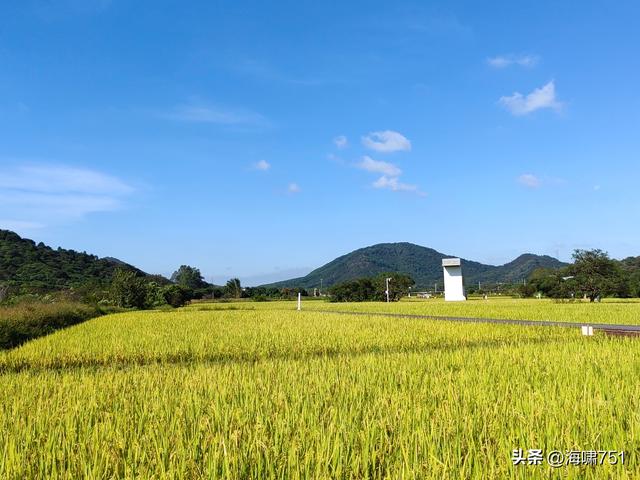 从化艾米稻香小镇