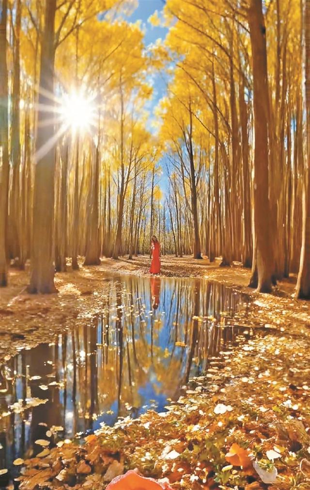 「辉煌60年·新时代西藏答卷」秋染林周好风光