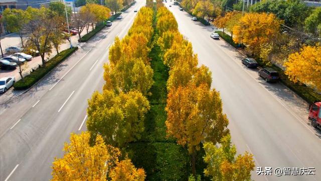 快去拍！秋天把庆云点缀成诗了！