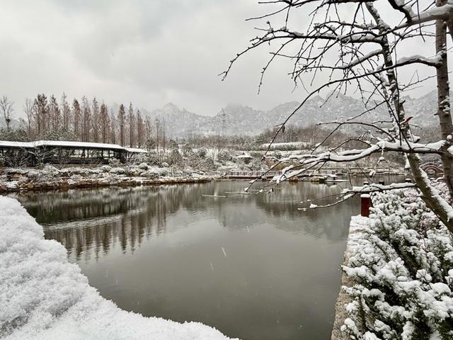 瑞雪飘然而至中国海滨城市青岛