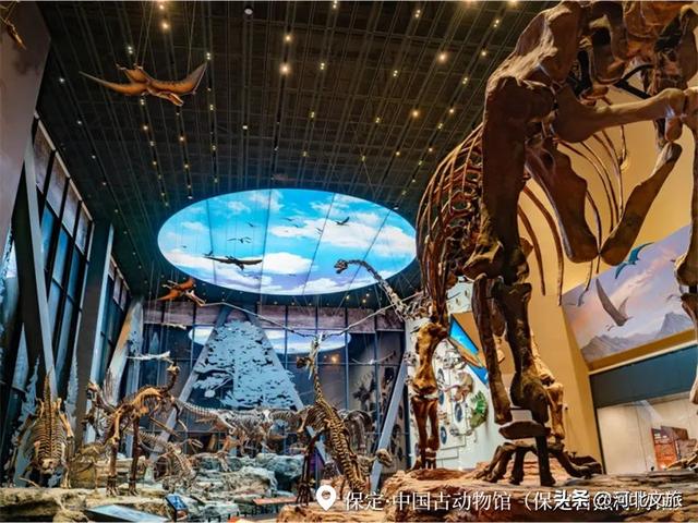十一去哪玩？河北各地文旅“宠粉模式”开启，就等你来！