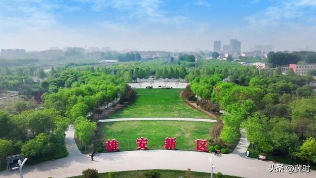 海外博主的雄安日记——绿色之城，生长在蓝绿之间