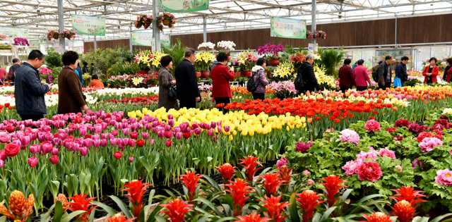 热门资讯-青州，去过就不想走！这座山东小城藏了太多欣喜(6)