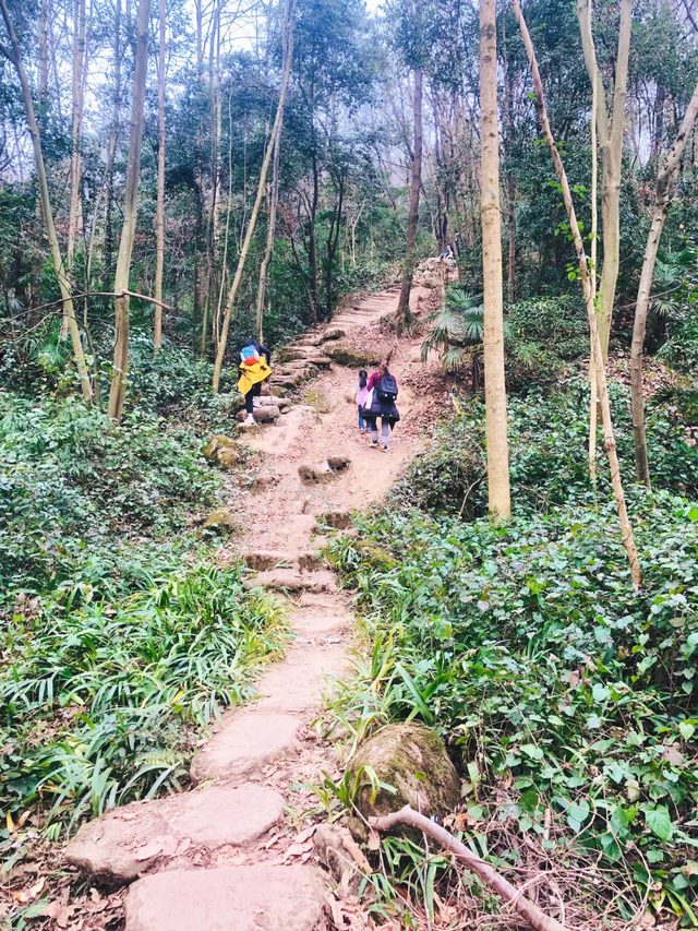 奖牌首发！成都1.5h新晋野趣徒步线，绳索上下+森林秋千，太野了