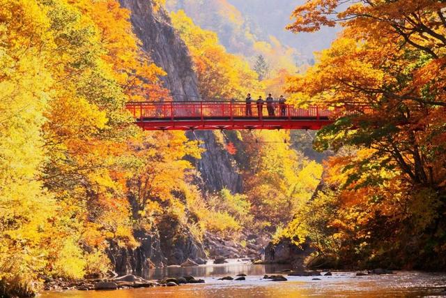 2025日本赏红叶攻略已出！附北海道、东北5大赏红叶景点~