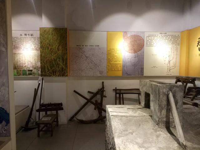 乐享田园·趣游南宁│稻香壮韵寻趣之旅