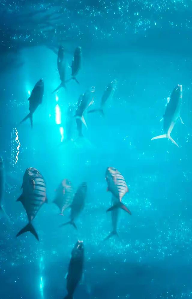 世界只有中国河南省洛阳市才有的全球“独一无二的10大奇景”