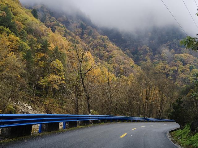 南行漫记：329公里的穿越之路，带你一起看红叶