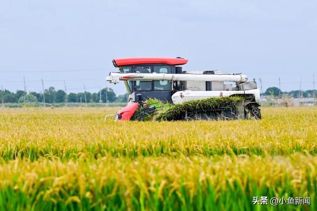美爆了！苏州秋日大片，上新了！