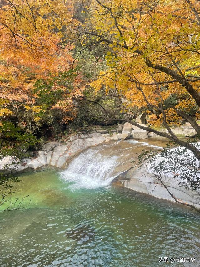 晨光下，米仓山的秋色在眼前一点点展开