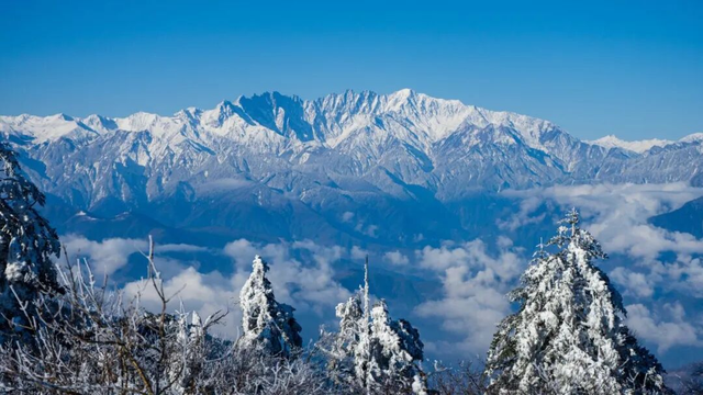 最佳观赏期！雅安的红叶彩林“封神”啦！