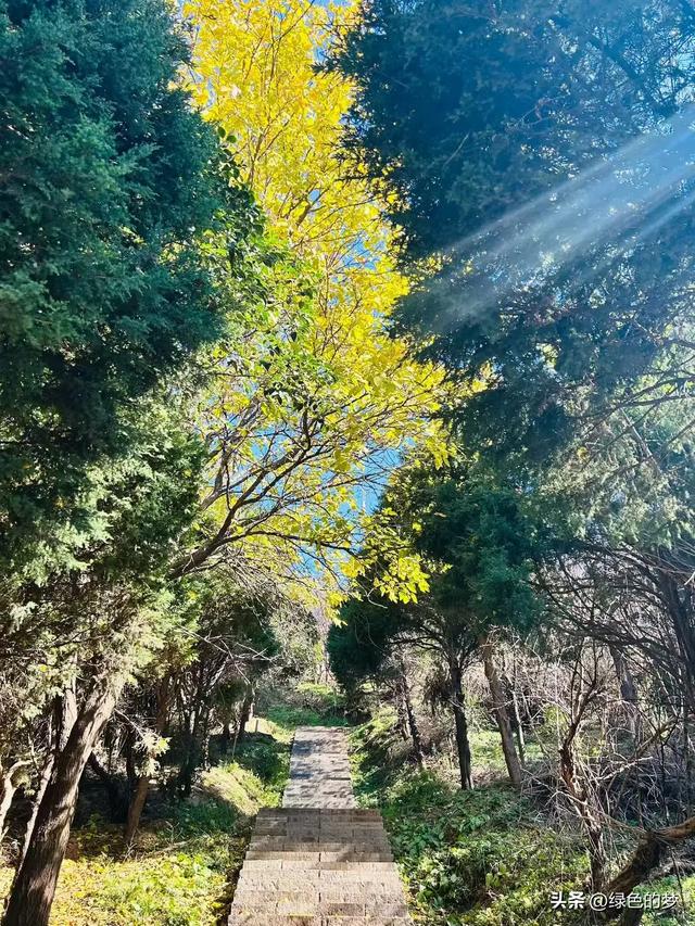 都说寻梦是水中捞月的徒劳,可我们还是喜欢去追寻梦中的当年。