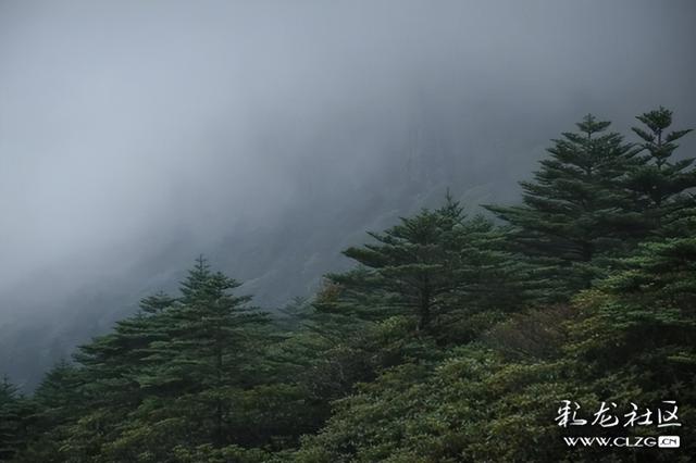 迷雾森林-探秘轿子山